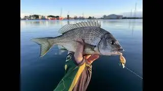Bream Master SA Round 1 - Port River 2026