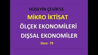 MICROECONOMICS -79 - ECONOMIES OF SCALE AND EXTERNAL ECONOMIES