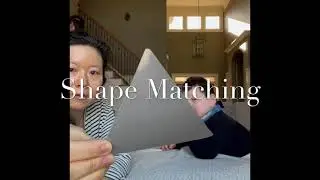 Matching | Shape Cards | 2AFC
