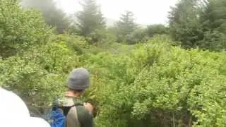 Lost Rocks Trail - Descent from Flint Ridge