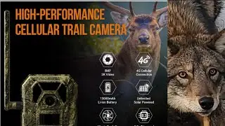 Magic Eagle Trail Camera Review #wildlife #Trailcameras #nightvision #Deer #Gamecamera 