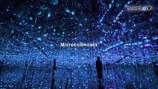 Microcosmoses
