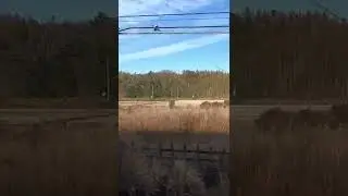 Japan beautiful fields