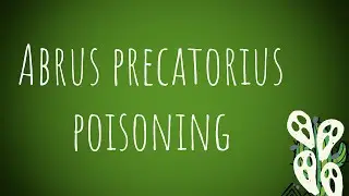 Toxicology- Abrus Precatorius Vegetable Poisoning MADE EASY!