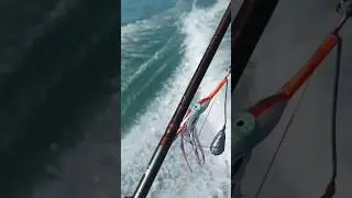 A POLPI CON I DIAVOLETTI #pesca #fishing #pescaesportiva #eging #fishing_video
