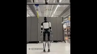 Elon Musk shares a new video of Tesla Optimus robot