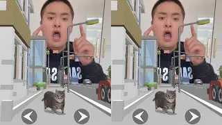 Who can make the spinning cat cross the road? #Daily Entertainment #Haha, have some fun 😂😂😂