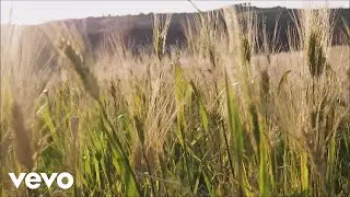 Holland Phillips - From the Music Fields