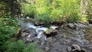 Hiking to Fish Lake in Glacier National Park with the boys! 6 mile round trip - Part 2