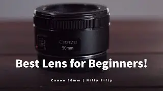 Best Lens for Beginners!| Canon 50mm f/1.8 STM | Nifty Fifty | South African YouTuber