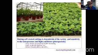 Production technology of chrysanthemum - By Dr. Mam Singh