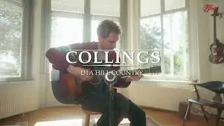 Collings D1A HC Hill Country Sunburst played by Milo Groenhuijzen | Demo