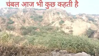 || 🍀चंबल की वीरान धरोहर🍀 || Chambal's deserted heritage #chambal