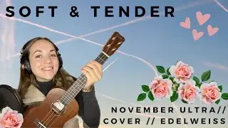 Soft & Tender (November Ultra) - Cover