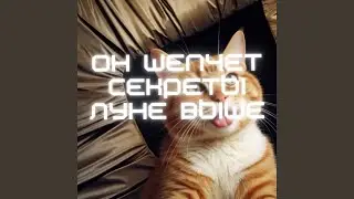 Каждый треск, вздох, ответ любовника