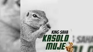 King Saha- Kasolo muje #Kingsaha #bobiwineuganda  @kingsaha256 