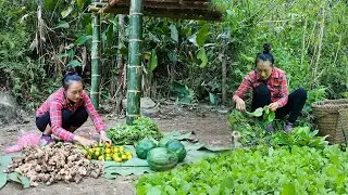 Harvesting Vegetable Garden with Ginger and Papaya, A Simple Trip to the Market