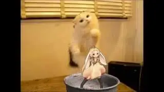 MMD Funny Montage 2014 #2 !
