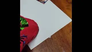 Eagle STocking Video