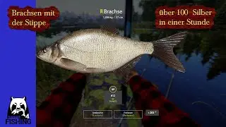 RF4 &ndash; BARCHSEN STIPPEN -An der Festung -Russian Fishing 4 #346