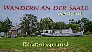 Wandern an der  Saale- Unstrutmündung  BLÜTENGRUND // Juli 2016