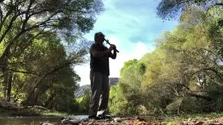 On Aravaipa Creek