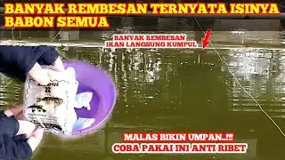 GA DI SANGKA‼️PAKAI UMPAN INI STRIKE IKAN BABON SEMUA  #bestfishing #umpanjitu #fishing