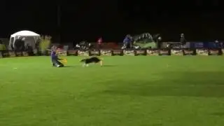 Julia Zimmermann and Leeloo at UFO World Cup Finals 2016