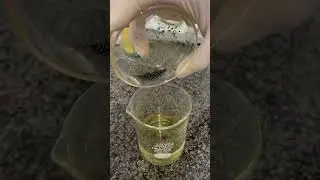 Preparation of Aqueous Iodine Solution ( Leugol&rsquo;s Solution )#pharmcist #experiment #pharma #lab
