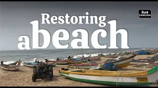 An artificial reef brings Puducherry beach back to life