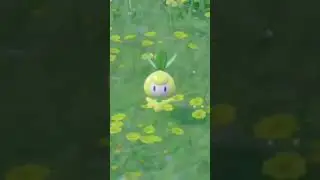 Shiny Petilil! ~ Pok&eacute;mon Violet #shorts