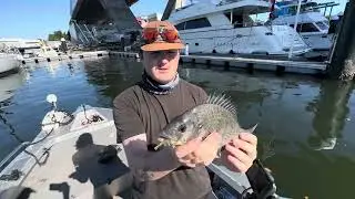 Teaching Gib To Fish Tight Structure On Plastics