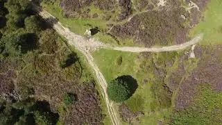 Cork Stone 2023