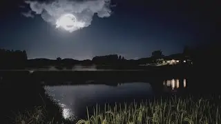 Summer Night in the Countryside&ndash;Relaxing Crickets, Cicadas & Soft Breeze for Deep Sleep & Relaxation