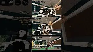 PAK GM, INI BUAT KAMU!!! My Username Roblox: VIP_BloxFruitsMax #pakgm #fypシ゚viral #stealabrainrot