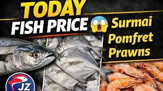 Today Karachi Fish Market Prices 🐟 | King Mackerel, Dangri, Pomfret & Prawns | Fresh Seafood
