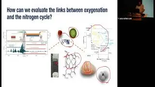 Planetary Oxygenation and Earth’s Nitrogen Cycle