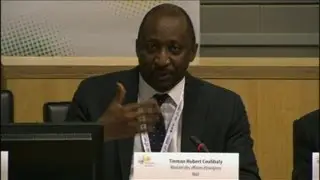 Mali foreign minister urges donor funds