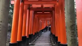伏見稲荷大社　20251230  千本鳥居〜三ツ辻