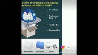 Fresh milk Pasteurized Camel Milk Healthy Milk  