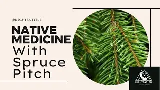 Native Medicine Making Spruce Pitch Salve