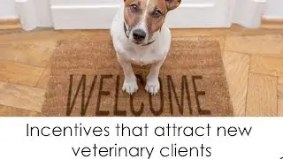 Incentives that attract new veterinary clients
