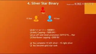 Plan video of vishwas gems network marketing plan