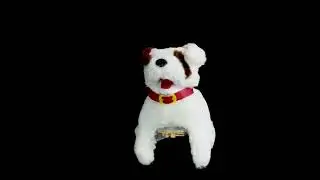 Somersaulting Dog/Tumbling Puppy Clip Compilation