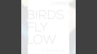 Birds Fly Low