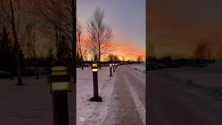 Magical Sweden Evening Sunset | Peaceful Nordic Views #Shorts