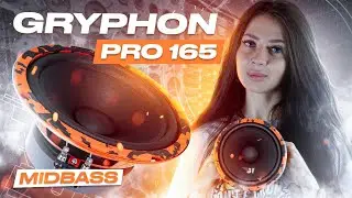 Мидбас, который вас удивит | Обзор на DL Audio Gryphon Pro 165 Midbass