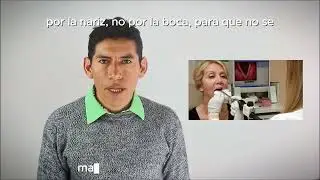 Laringoscop&iacute;a r&iacute;gida Kunka qhaway