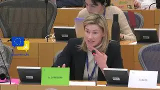 Stop Tariffs Threatening &euro;450M EU Whiskey Exports to US! MEP Nina Carberry's Emotional Plea!