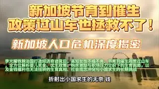 新加坡人口危机深度揭秘——李光耀铁腕治国打造经济奇迹背后，高知女性不婚不育、节育到催生政策过山车，以及金钱福利也无法扭转的生育真相与社会冲突